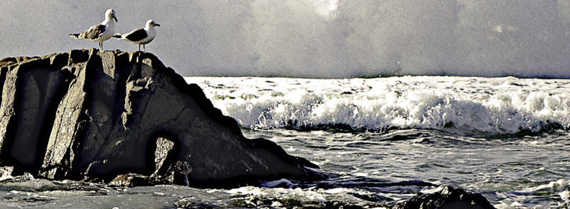 Institut für Hypnose und NLP – Slide Startseite 01